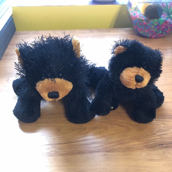 webkinz black bear